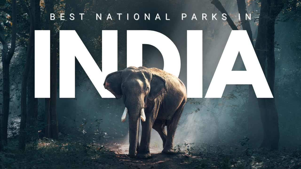 White and Brown India National Parks Travel Youtube Thumbnail
